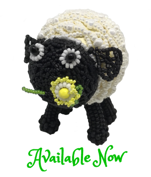 Blossom the Sheep