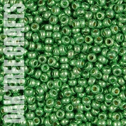 SB08 - Miyuki - Duracoat Galvanised - Dark Mint Green (4214) - 8gm