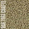 96222 - SB11 - Miyuki - Duracoat Galvanised - Silver (4201) - 8gm