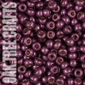 96236 - SB06 - Miyuki - Duracoat Galvanised - Eggplant (4220) - 8.5gm