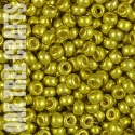 96244 - SB06 - Miyuki - Duracoat Galvanised - Zest (4205) - 8.5gm