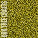 96610 - SB15 - Toho - Colour-Lined Lustre - Black/Yellow (T246) - 3gm
